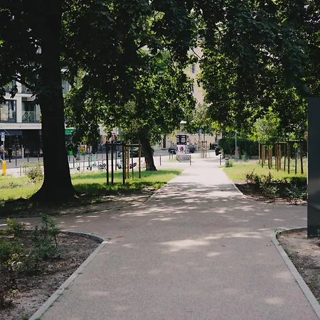 2homerent Niedzialkowskiego 24 *